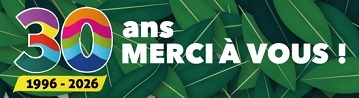 Bois Environnement Services